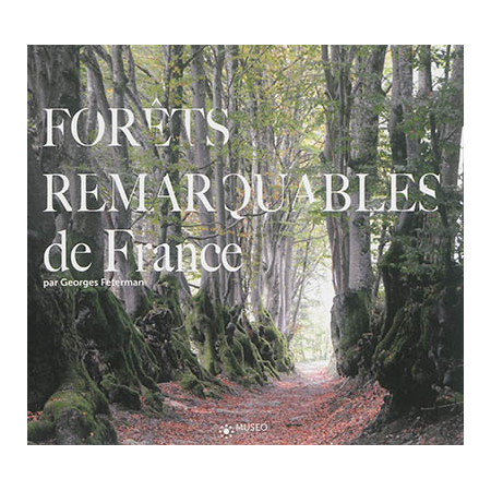 Forêts remarquables de France