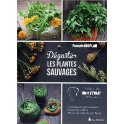 Dégustez les plantes sauvages