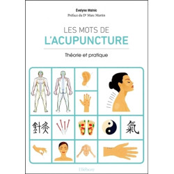 Les mots de l'acupuncture : théorie et pratique