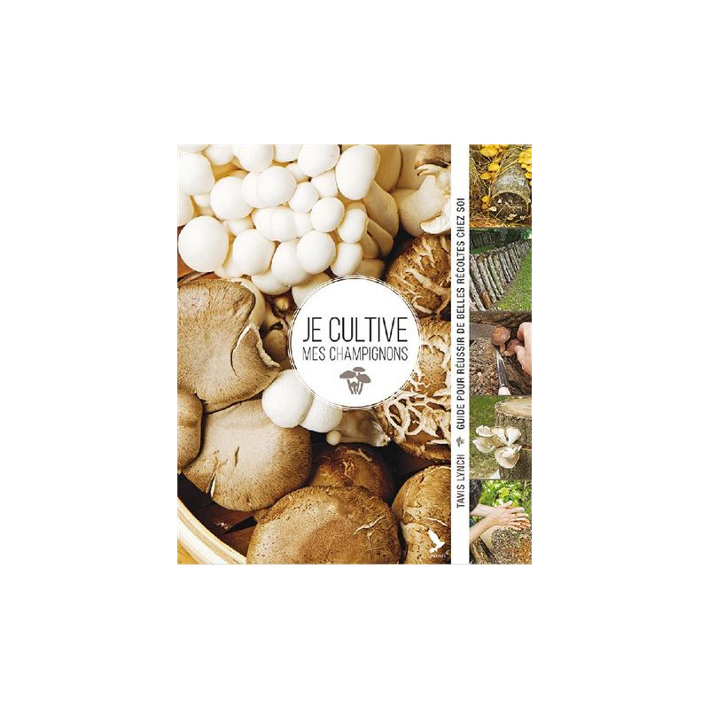 Je cultive mes champignons : guide pour réussir de belles récoltes chez soi