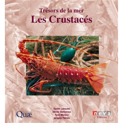 Les crustacés : trésors de la mer