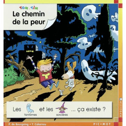 Tom et Tim. Vol. 2003. Le chemin de la peur