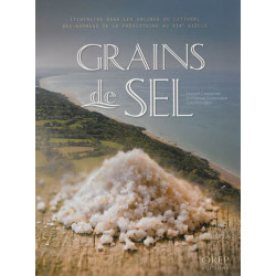 Grains de sel : itinéraire dans les salines du littoral bas-normand de la préhistoire au XIXe siècle