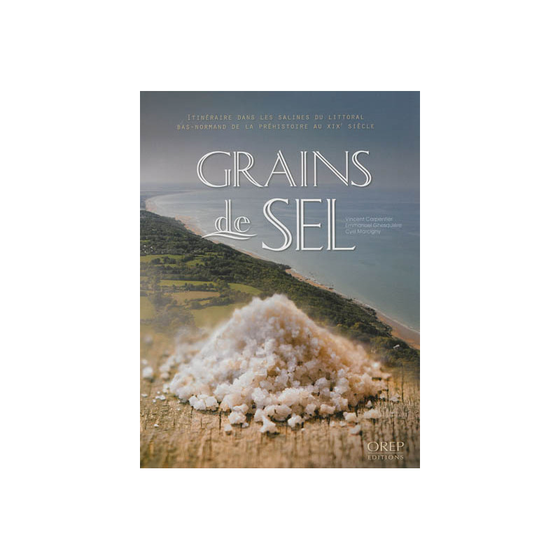 Grains de sel : itinéraire dans les salines du littoral bas-normand de la préhistoire au XIXe siècle