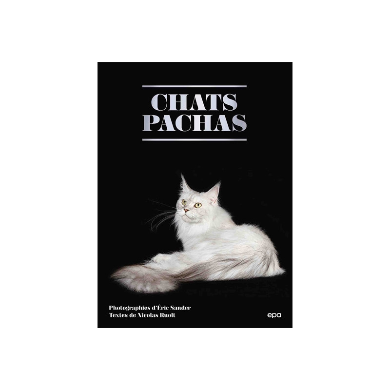 Chats pachas