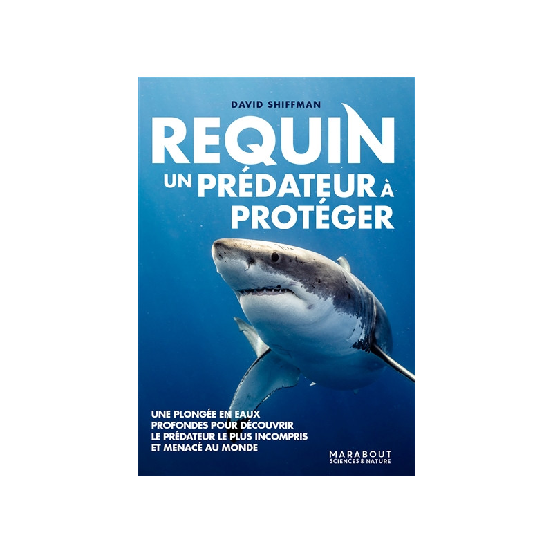 Requin : un prédateur à protéger