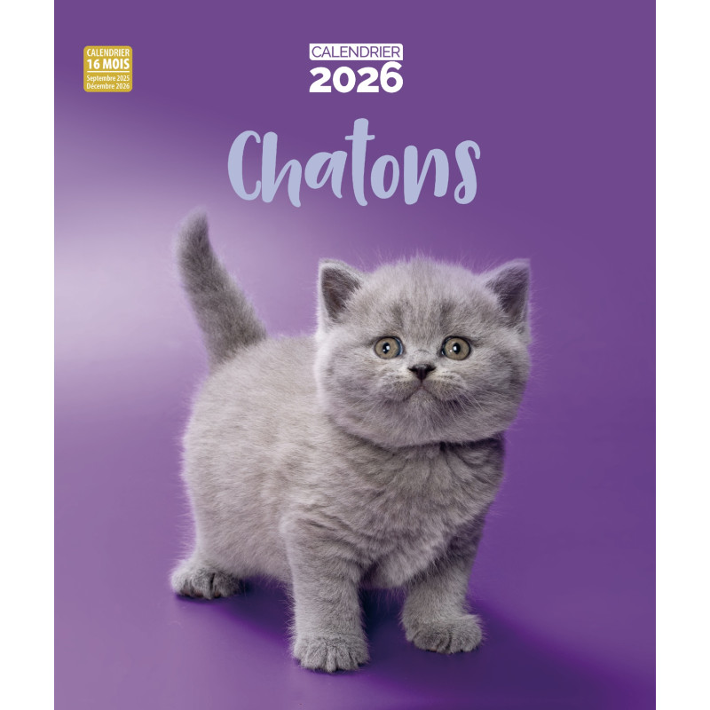 Calendrier De Bureau 2026 Catalan Avec Photos Chiens Et Chats - Vue Mois, Spirale Métal, Janv-Déc 2026 + 4 Mois 2025 - 10