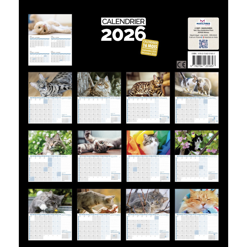 Calendrier Mural 2026 Chat Mignon - Format 20,3x27,9 Cm - Mensuel Avec Fêtes - Décoration Bureau Ou Maison - Pour Amoureux Des Chats