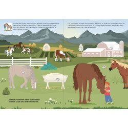 Lis, Joue et Colle - J'aime les chevaux - 9782754232326