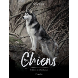 Les chiens : fidèles et affectueux