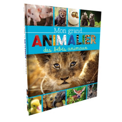Mon grand animalier des bébés animaux - 9781773881737