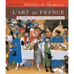 L'art de France - Tome 1 De la Préhistoire au Moyen-Age (Age de pierre - 1449) - 9782856204863