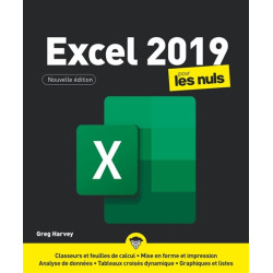 Excel 2019 pour les nuls - 9782412068755