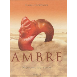 Ambre, mémoire du temps - 9782352780472