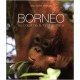 Bornéo : Au coeur de la forêt primaire (1CD audio)