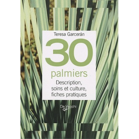 30 Palmiers - Description, soins et culture, fiches pratiques
