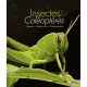 Insectes et coléoptères - Espèces, mode de vie, comportement 