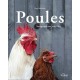 Poules - Somptueuses volailles